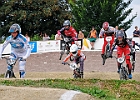 921H8454 bmx-tc-12-9-21